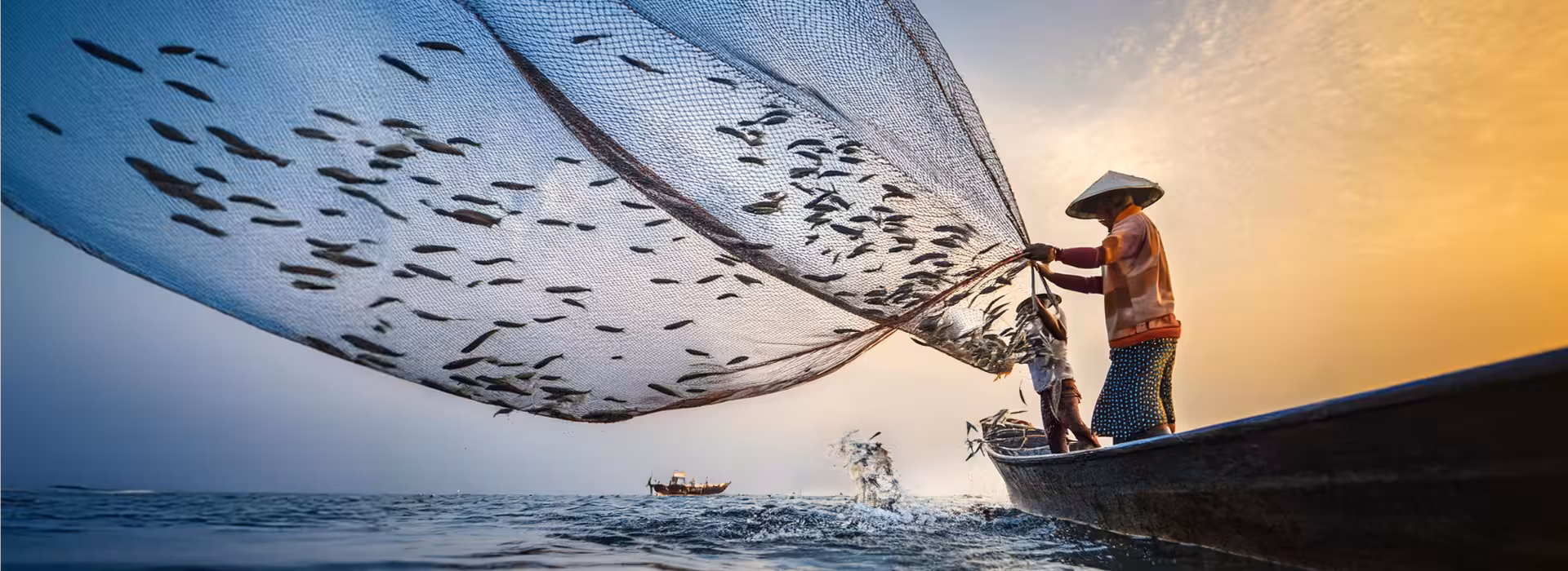 home-banner Fisherman reeling in a net from the ocean to harvest anchovies, with a view of the sea and other ship in the background