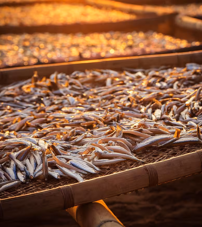 about-image-2 Dried anchovies (ikan bilis) on traditional wooden drying tray