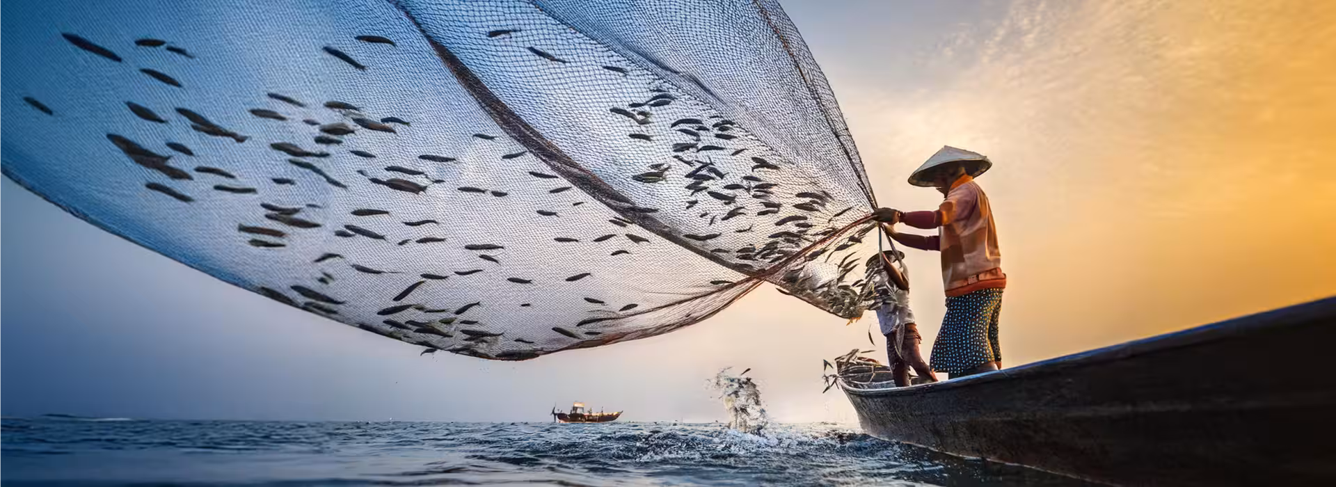 Fisherman reeling in a net from the ocean to harvest anchovies, with a view of the sea and other ship in the background